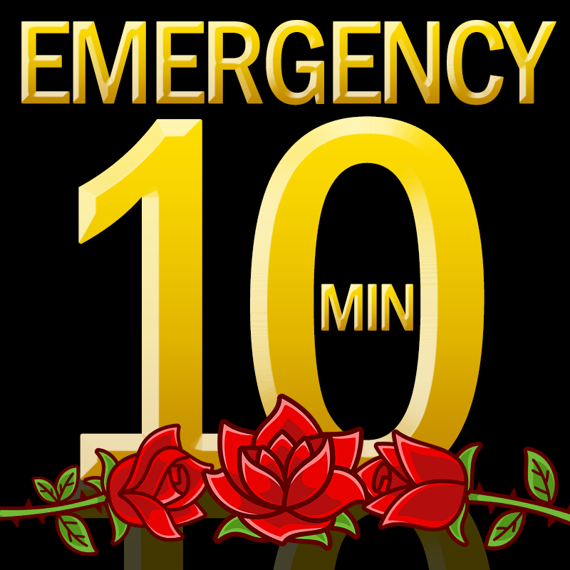 24 Hour Quick Answer: 10 minutes (1 question)