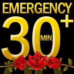 Psychic Tarot Reading: Emergency 30 Minutes, 6 questions, 24-hour turn-around