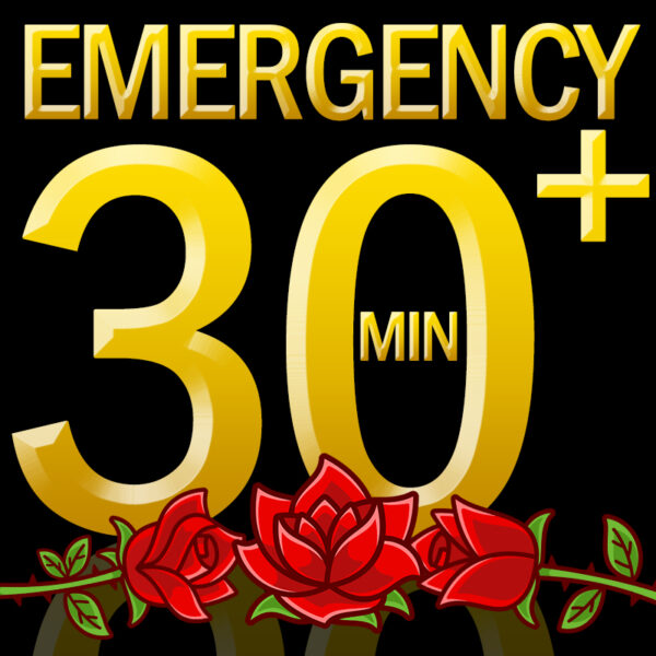 Psychic Tarot Reading: Emergency 30 Minutes, 6 questions, 4 to 6-hour turn-around