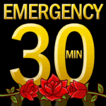 24-Hour Priority:  30 Minutes (up to 6 questions)