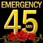 24-Hour Deep Priority:  45 Minutes (Up to 10 questions)
