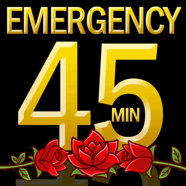 24-Hour Deep Priority:  45 Minutes (Up to 10 questions)